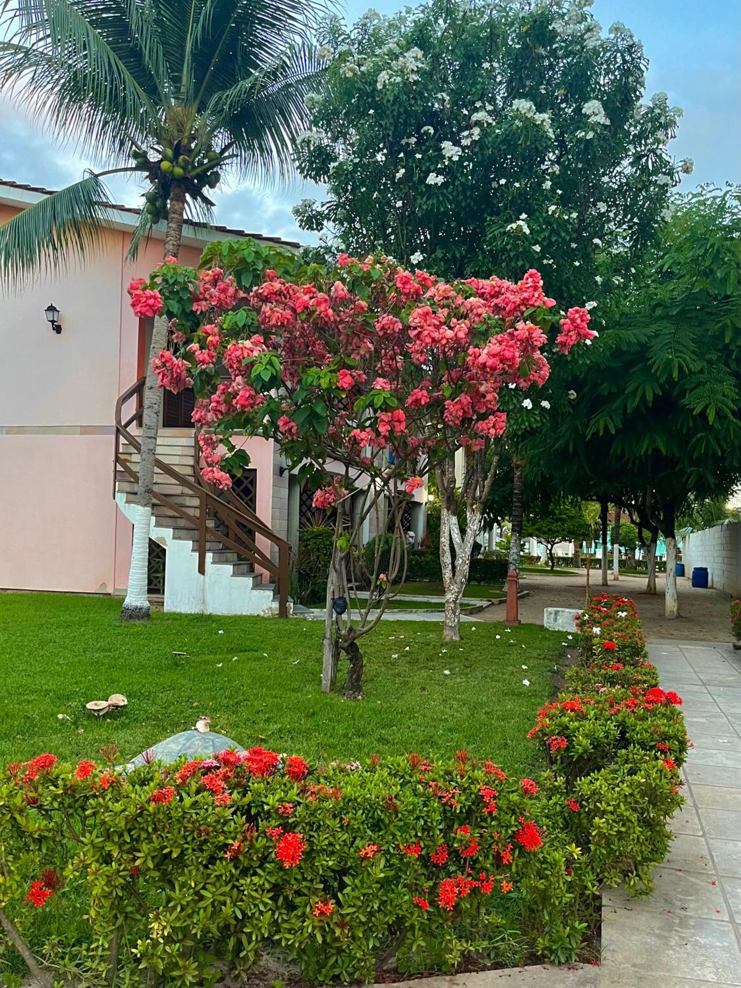 Villa starlounge Maragogi Exterior foto